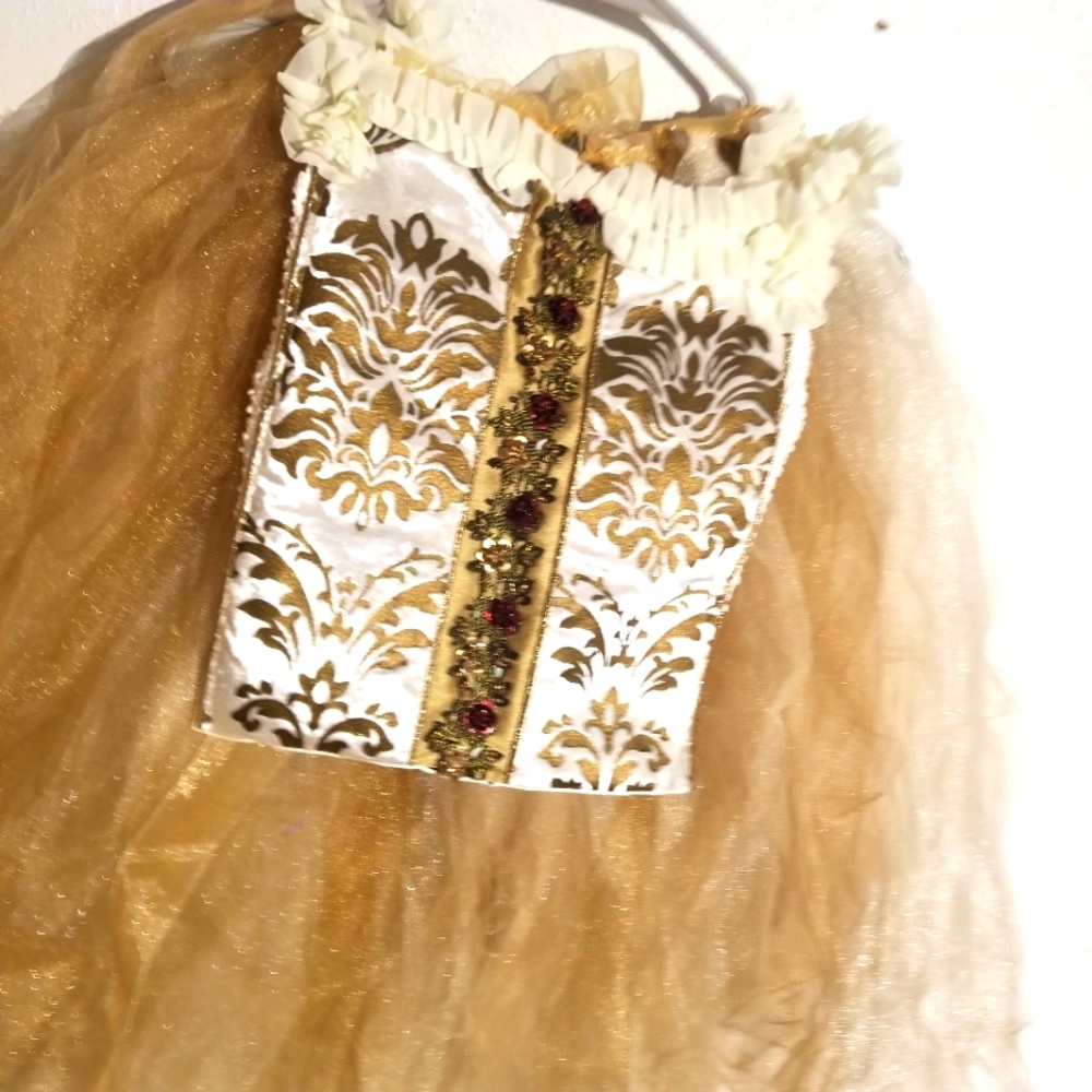 Fairytale tutu dress costume adjustable stretch two pieces fot little girl